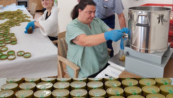 Das Bild zeigt die Mitglieder der Arbeitsgruppe beim verfüllen des Honigs unter Anleitung von Eberhard Prollius.